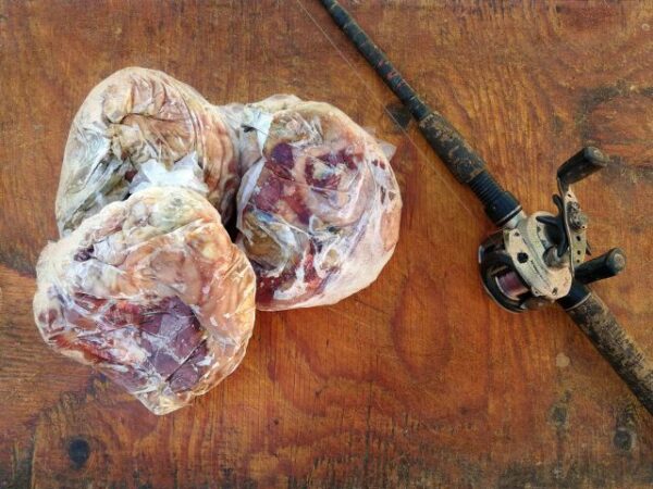 Carnada para pesca envasada tripa de pollo - Imagen 2