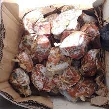 PORCION TRIPA DE SABALO EN BOLSA